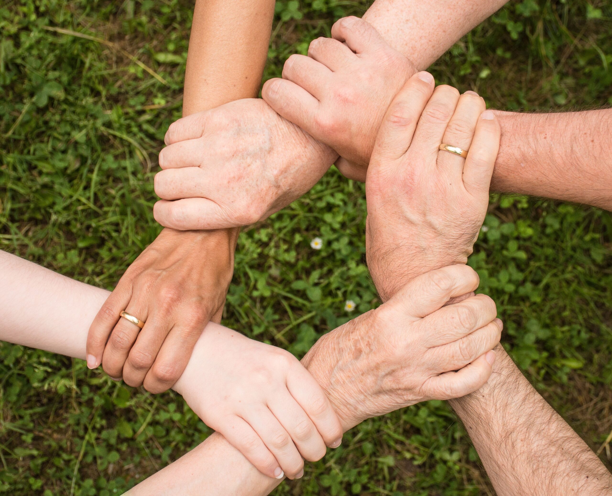 ransitional Care and Advanced Illness Management service